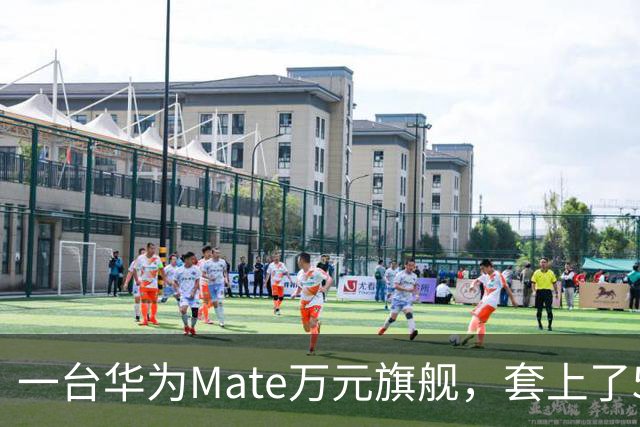 一台华为Mate万元旗舰，套上了59元积木壳