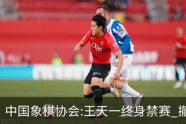 中国象棋协会:王天一终身禁赛 撤销特大等称号