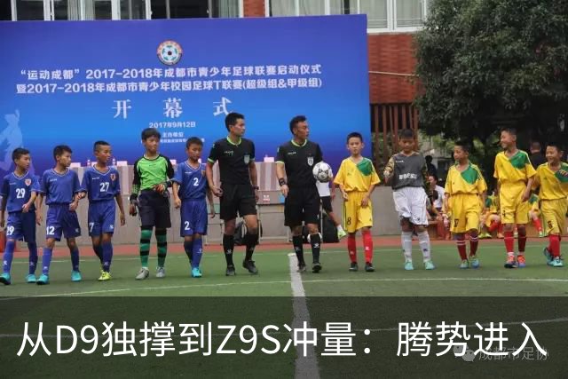 从D9独撑到Z9S冲量：腾势进入“上量换利润”大考期