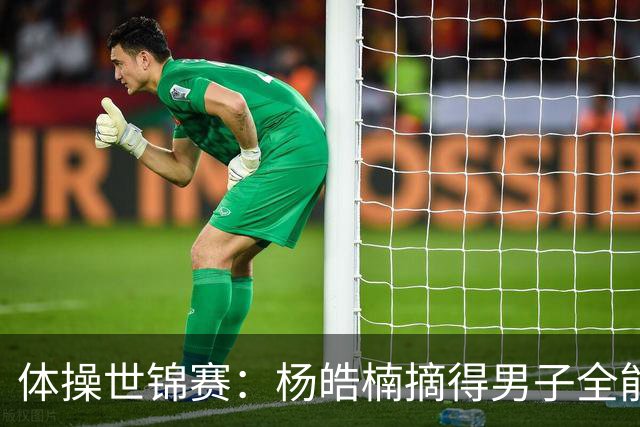 体操世锦赛：杨皓楠摘得男子全能银牌
