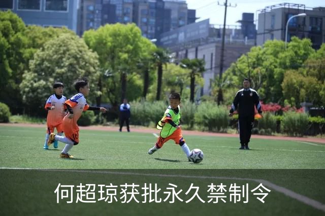 何超琼获批永久禁制令