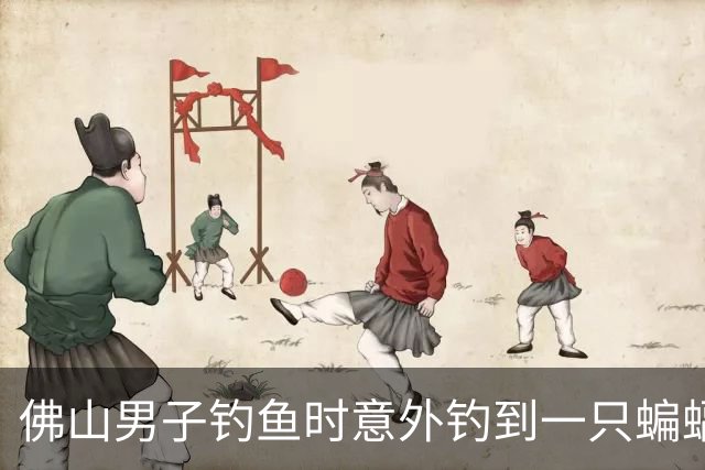 佛山男子钓鱼时意外钓到一只蝙蝠，以为是枯叶还捏了一下！医生：接触就算三级暴露…