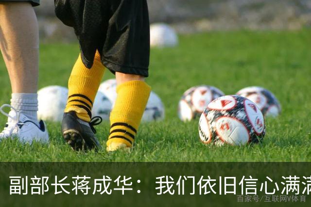 副部长蒋成华：我们依旧信心满满