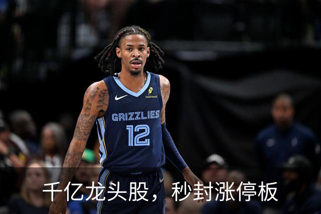 千亿龙头股，秒封涨停板