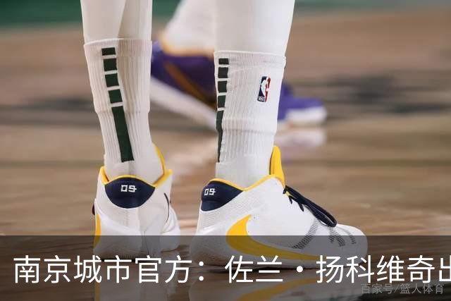 南京城市官方：佐兰·扬科维奇出任球队主教练