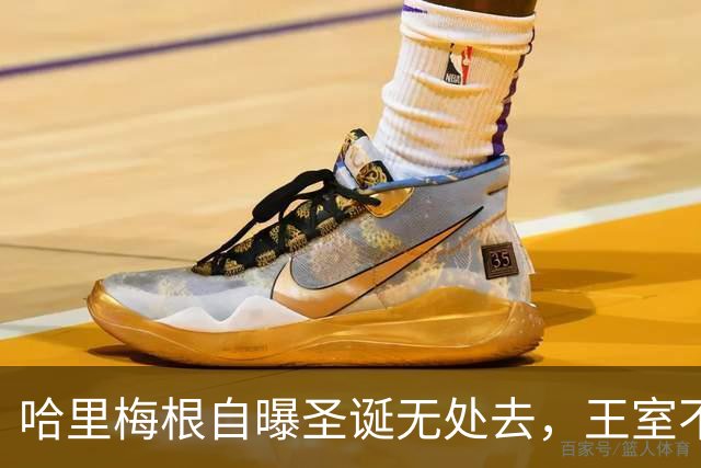 哈里梅根自曝圣诞无处去，王室不邀请他们，只能带娃找岳母