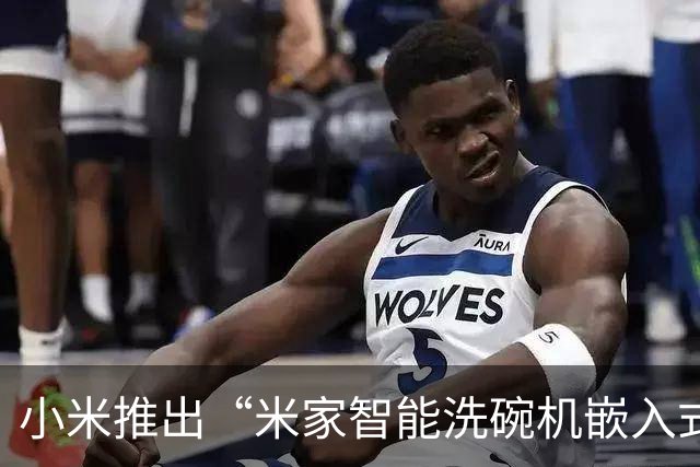 小米推出“米家智能洗碗机嵌入式20套”，4704元（国补后3999元）