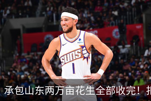 承包山东两万亩花生全部收完！扣完成本，最后利润到底有多少？
