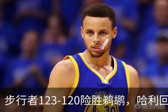 步行者123-120险胜鹈鹕，哈利回归首秀贡献23+12，西卡30+8