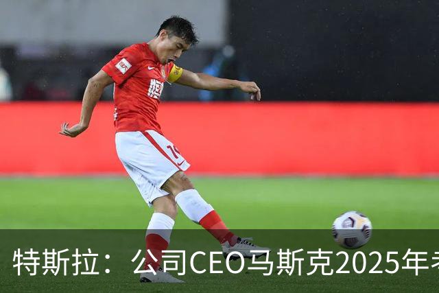 特斯拉：公司CEO马斯克2025年考核未达标，全年实际到手收入为零，没有现金，也没有解锁任何股权