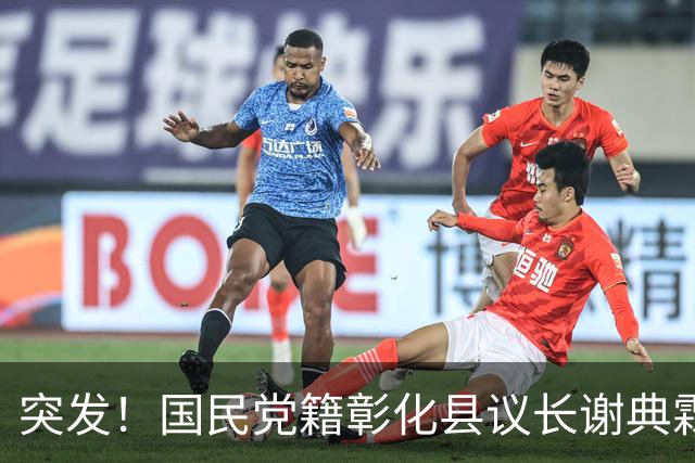 突发！国民党籍彰化县议长谢典霖遭羁押