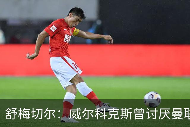 舒梅切尔：威尔科克斯曾讨厌曼联，为何如今却在曼联任职