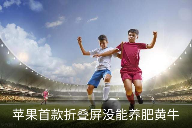 苹果首款折叠屏没能养肥黄牛