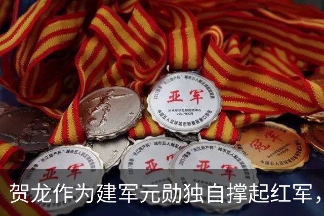 贺龙作为建军元勋独自撑起红军，为何元帅排名却在刘伯承之后？