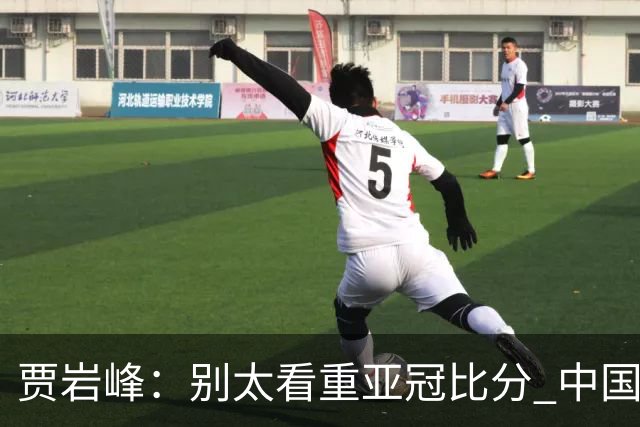 贾岩峰：别太看重亚冠比分 中国足球活着更重要