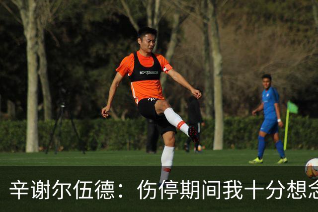 辛谢尔伍德：伤停期间我十分想念赛场，本赛季布莱顿开局十分顺利
