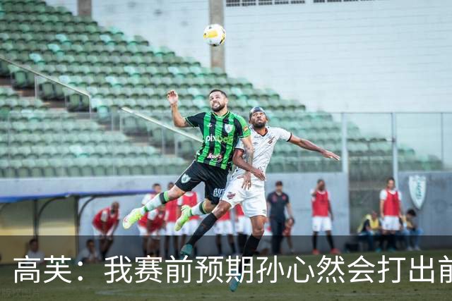 高芙：我赛前预期孙心然会打出前十或二十水平，她确实做到了